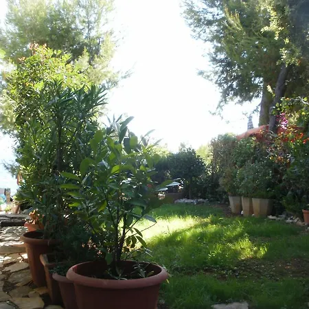 Buneta