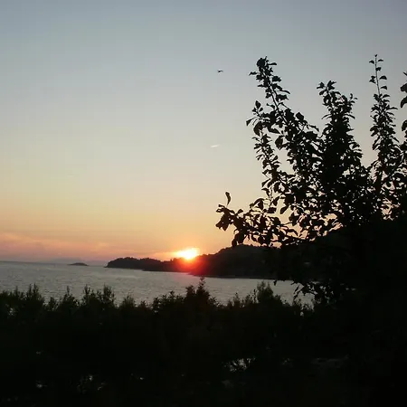 Buneta * Prizba